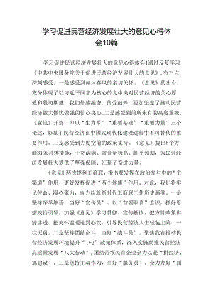 学习促进民营经济发展壮大的意见心得体会10篇.docx