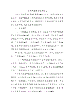 行政执法情况视察报告.docx
