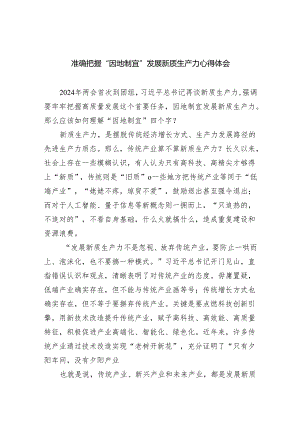 (六篇)准确把握“因地制宜”发展新质生产力心得体会范文.docx