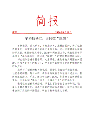 开展插秧实践活动简报.docx