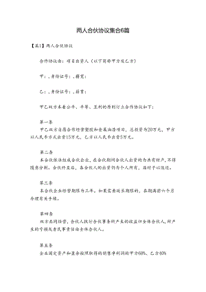两人合伙协议集合6篇.docx