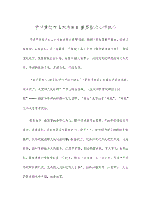 学习贯彻在山东考察时重要指示心得体会.docx