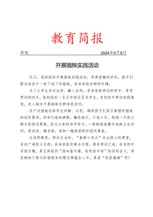 开展插秧实践活动简报.docx