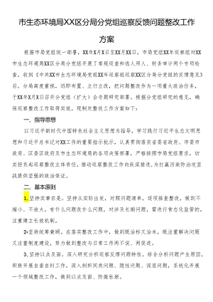 市生态环境局区分局分党组巡察反馈问题整改工作方案.docx