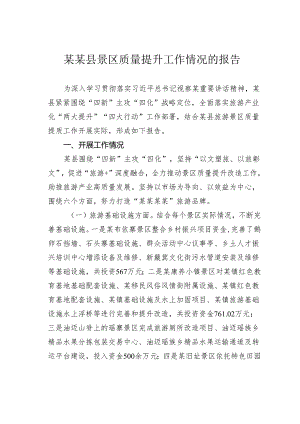 某某县景区质量提升工作情况的报告.docx