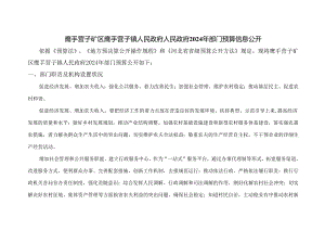 鹰手营子矿区鹰手营子镇人民政府人民政府2024年部门预算信.docx