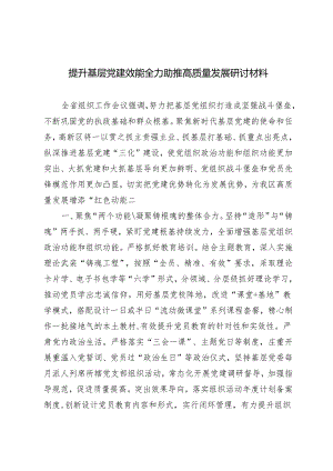2篇 提升基层党建效能全力助推高质量发展研讨材料 2024年党支部工作计划.docx