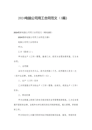 2024电脑公司用工合同范文（3篇）.docx