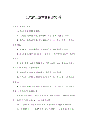 公司员工规章制度例文5篇.docx