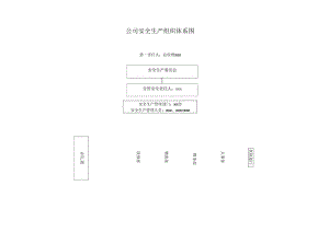 公司安全生产组织体系图网络图.docx