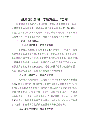 国投公司一季度党建工作总结.docx
