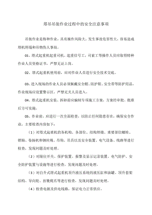 塔吊吊装作业过程中的安全注意事项（2024年）.docx