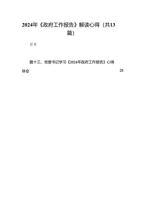2024年《政府工作报告》解读心得13篇（详细版）.docx