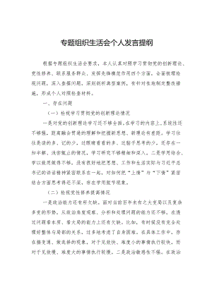 专题组织生活会个人发言提纲.docx