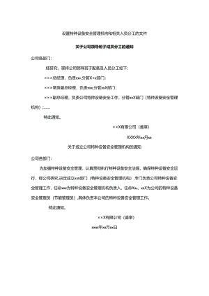 设置特种设备安全管理机构和相关人员分工的文件模板.docx