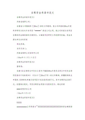 自筹资金承诺书范文.docx