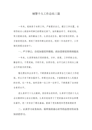 辅警个人工作总结三篇.docx