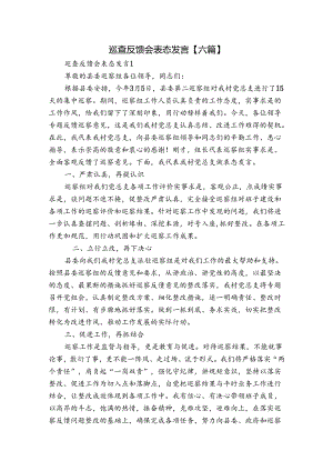 巡查反馈会表态发言【六篇】.docx