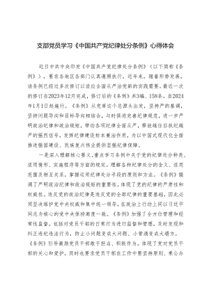 【2024党纪学习教育】支部党员学习《中国共产党纪律处分条例》心得体会研讨发言3篇.docx