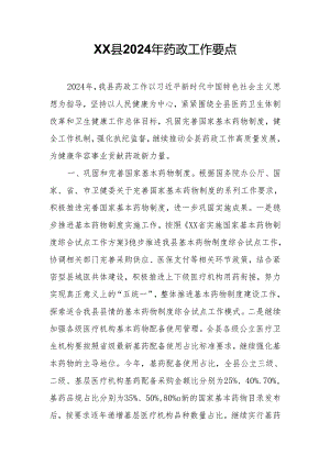 XX县2024年药政工作要点.docx