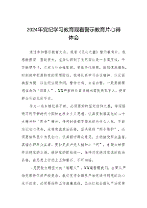 关于参加2024年党纪学习教育观看警示教育片的心得体会六篇.docx