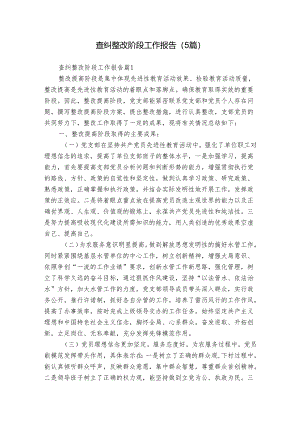 查纠整改阶段工作报告（5篇）.docx