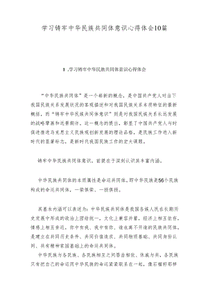 学习铸牢中华民族共同体意识心得体会10篇.docx