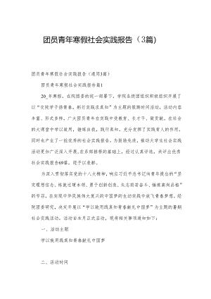 团员青年寒假社会实践报告（3篇）.docx