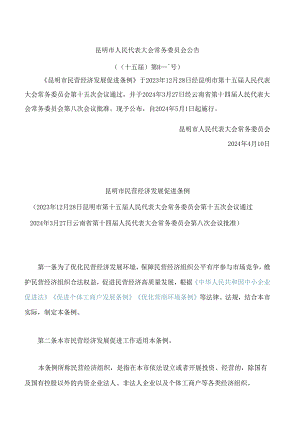昆明市民营经济发展促进条例.docx
