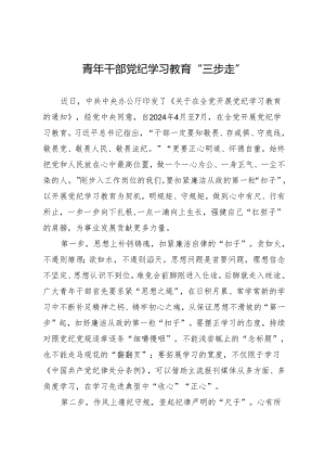 学习交流：20240411青年干部知灼内参（党纪）“三步走”.docx