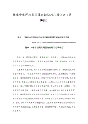 铸牢中华民族共同体意识学习心得体会【10篇精选】供参考.docx