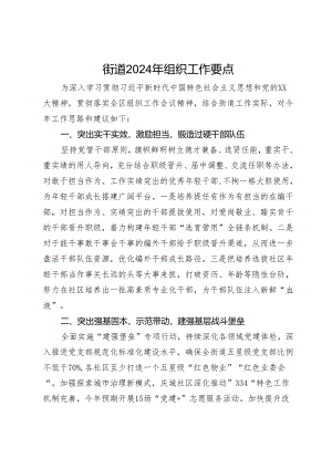 街道2024年组织工作要点.docx