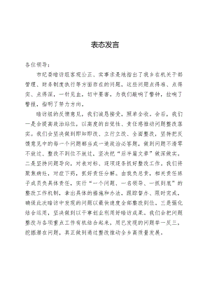表态发言（市纪委暗访）.docx