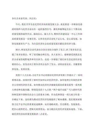 在2024年全县民营经济高质量发展大会上的讲话.docx