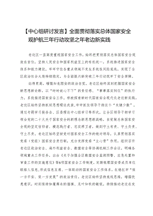 【中心组研讨发言】全面贯彻落实总体国家安全观护航三年行动攻坚之年老边新实践.docx