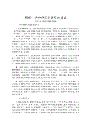 组织生活会查摆问题整改措施.docx