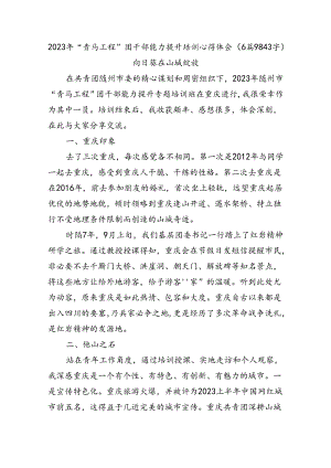 “青马工程”团干部能力提升培训心得体会6篇.docx