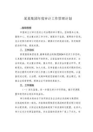 某某集团年度审计工作管理计划.docx