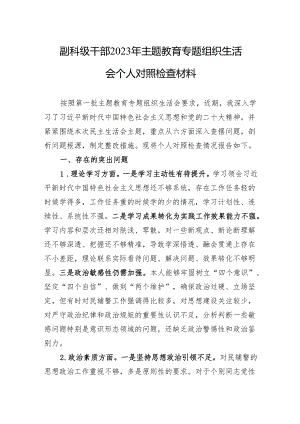 副科级干部2023年主题教育专题组织生活会个人对照检查材料（3篇）.docx