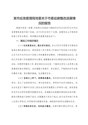某市应急管理局党委关于市委巡察整改进展情况的报告.docx