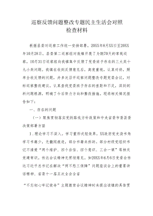 巡察反馈问题整改专题民主生活会对照检查材料.docx