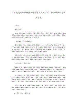 在新提拔干部任职前集体谈话会上的讲话：担当新使命奋进新征程.docx