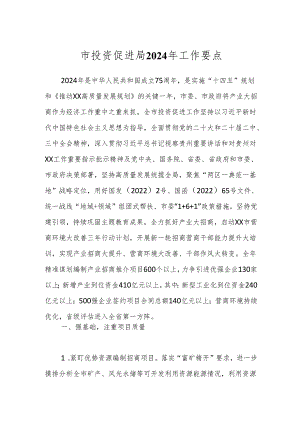 市投资促进局2024年工作要点.docx