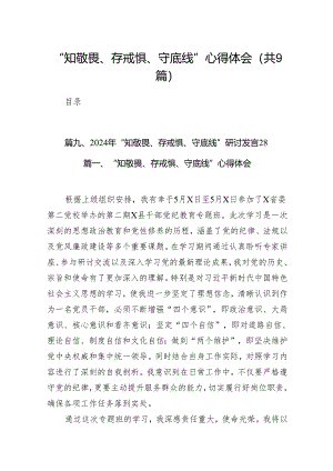 “知敬畏、存戒惧、守底线”心得体会9篇供参考.docx