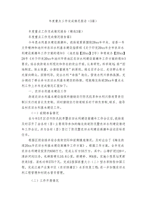年度重点工作完成情况报告（3篇）.docx