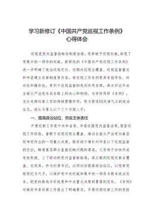 纪检干部学习2024年新修订《中国共产党巡视工作条例》心得体会四篇.docx