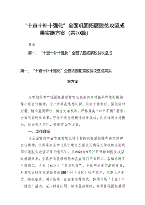 “十查十补十强化”全面巩固拓展脱贫攻坚成果实施方案10篇（详细版）.docx