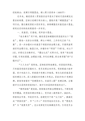 经验做法：党建引领强堡垒凝心聚力担使命.docx