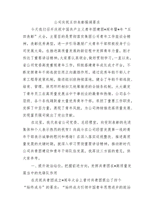 公司庆祝五四表彰强调要求.docx