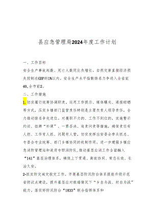 县应急管理局2024年度工作计划.docx
